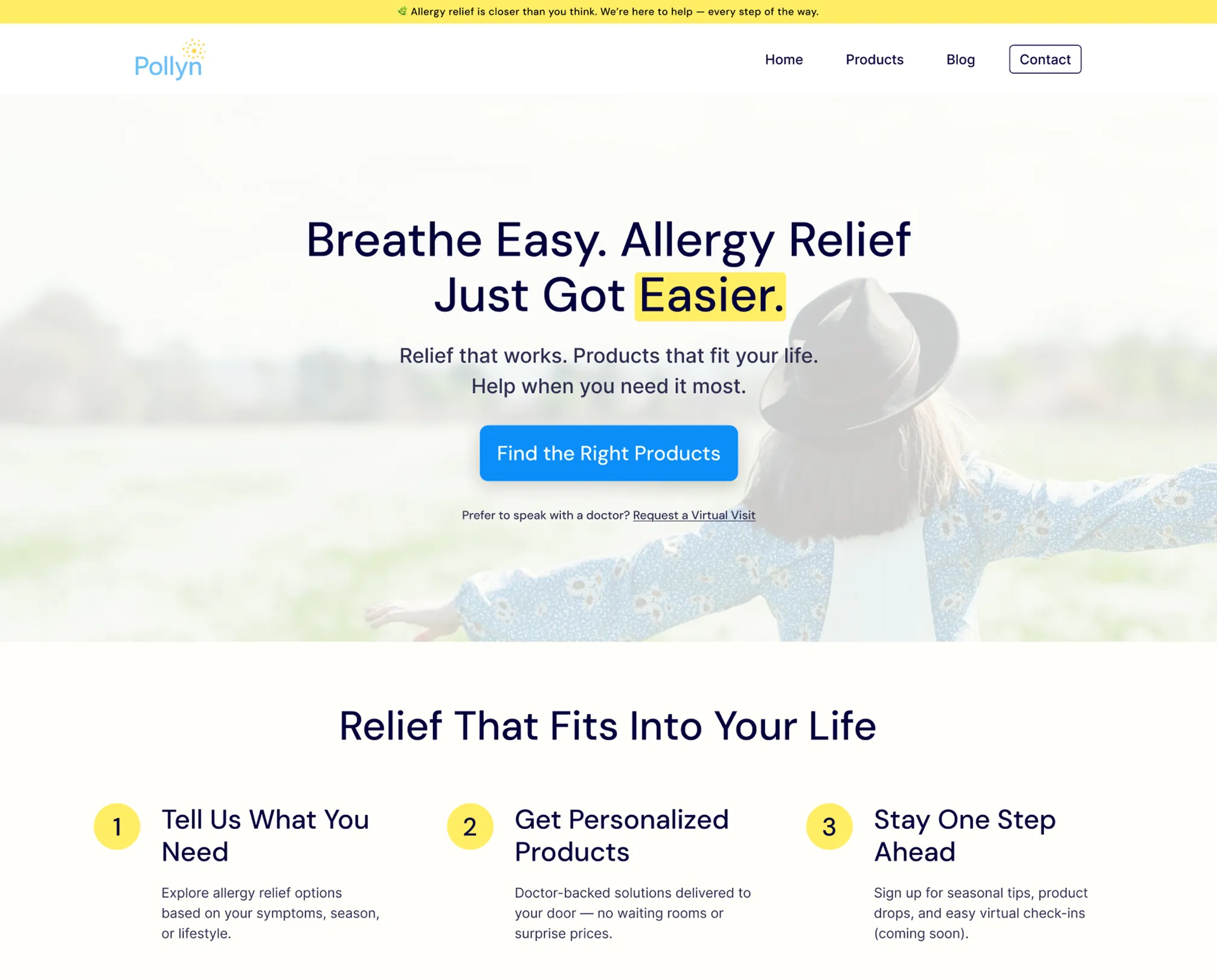 Pollyn website design